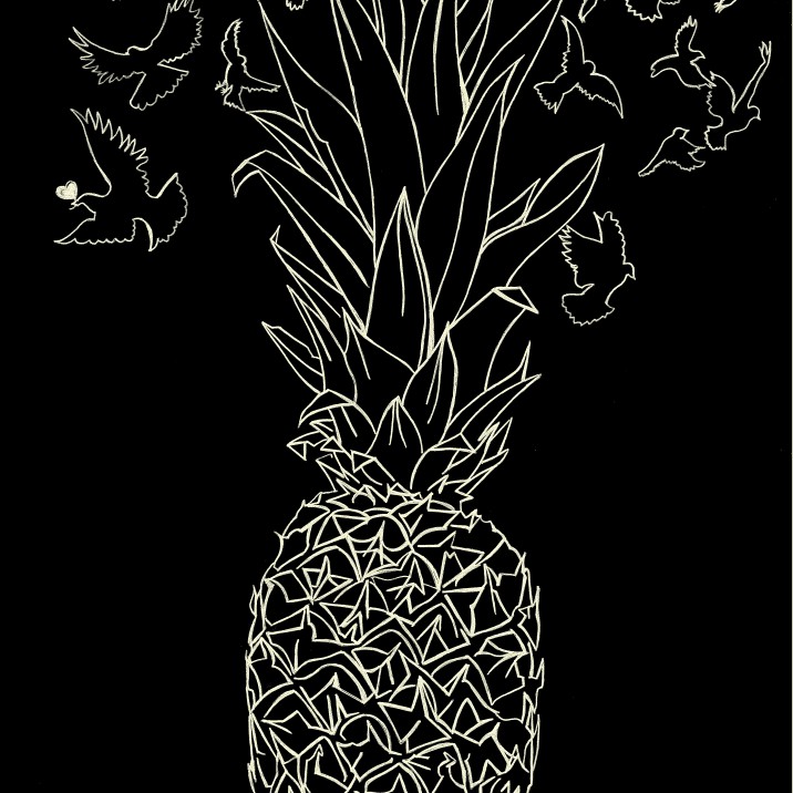 Pineapple sketch
